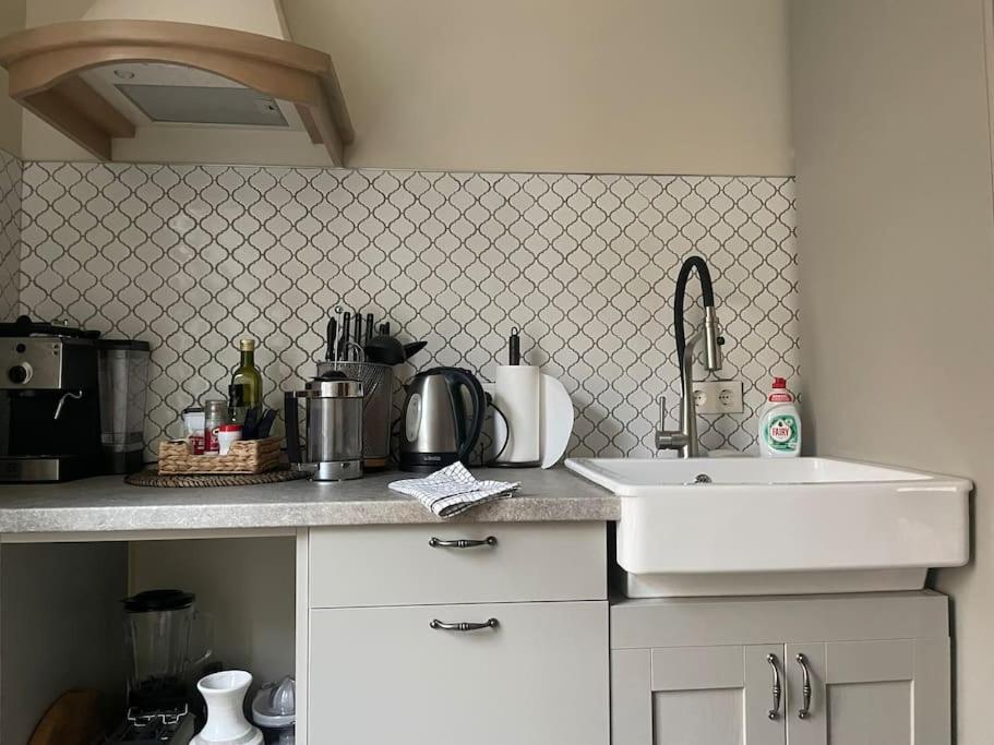 Lejlighed Elegant 1br/ba In Center W Free Parking Riga