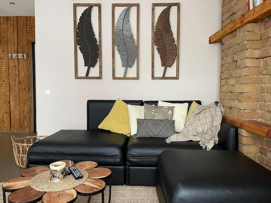 Elegant 1br/ba In Center W Free Parking Leilighet